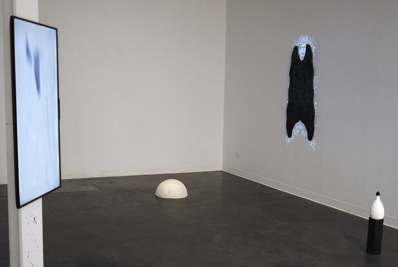 transient maternal (2024)