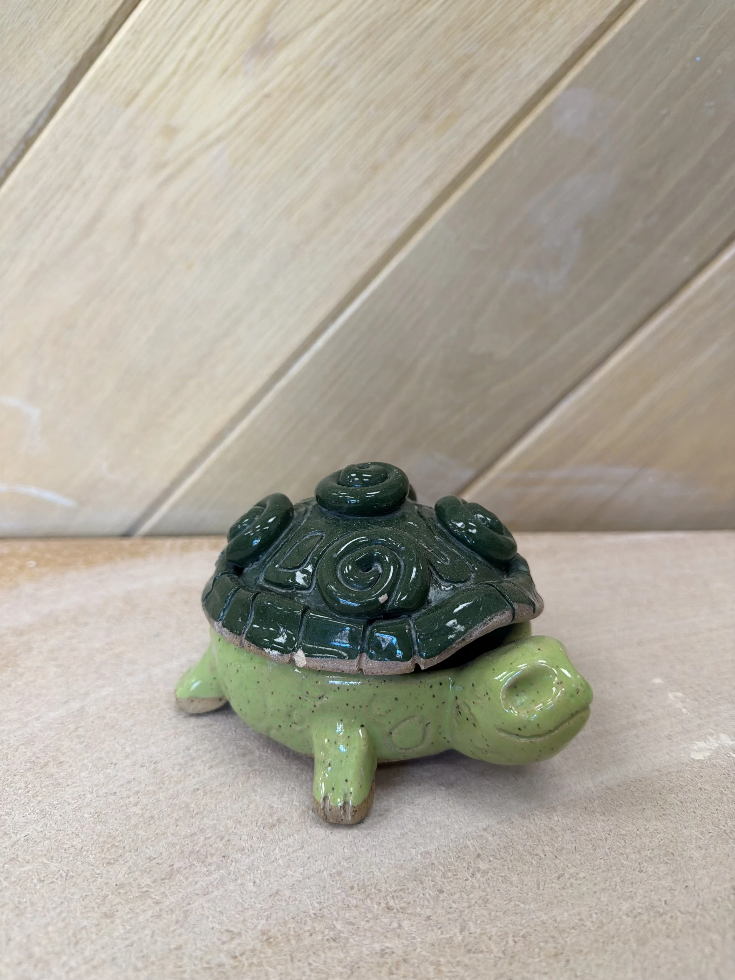 turtle.jpeg
