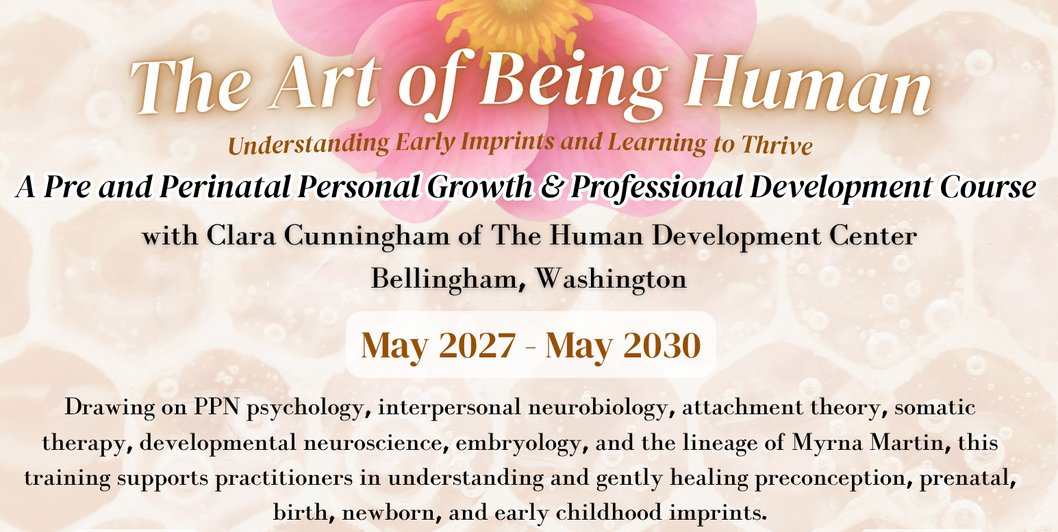 The Art of Being Human Discovery Call