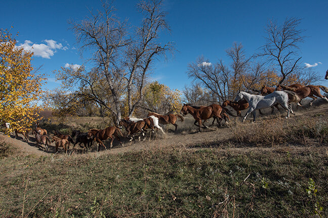 DF11220-907535-Edit.jpg