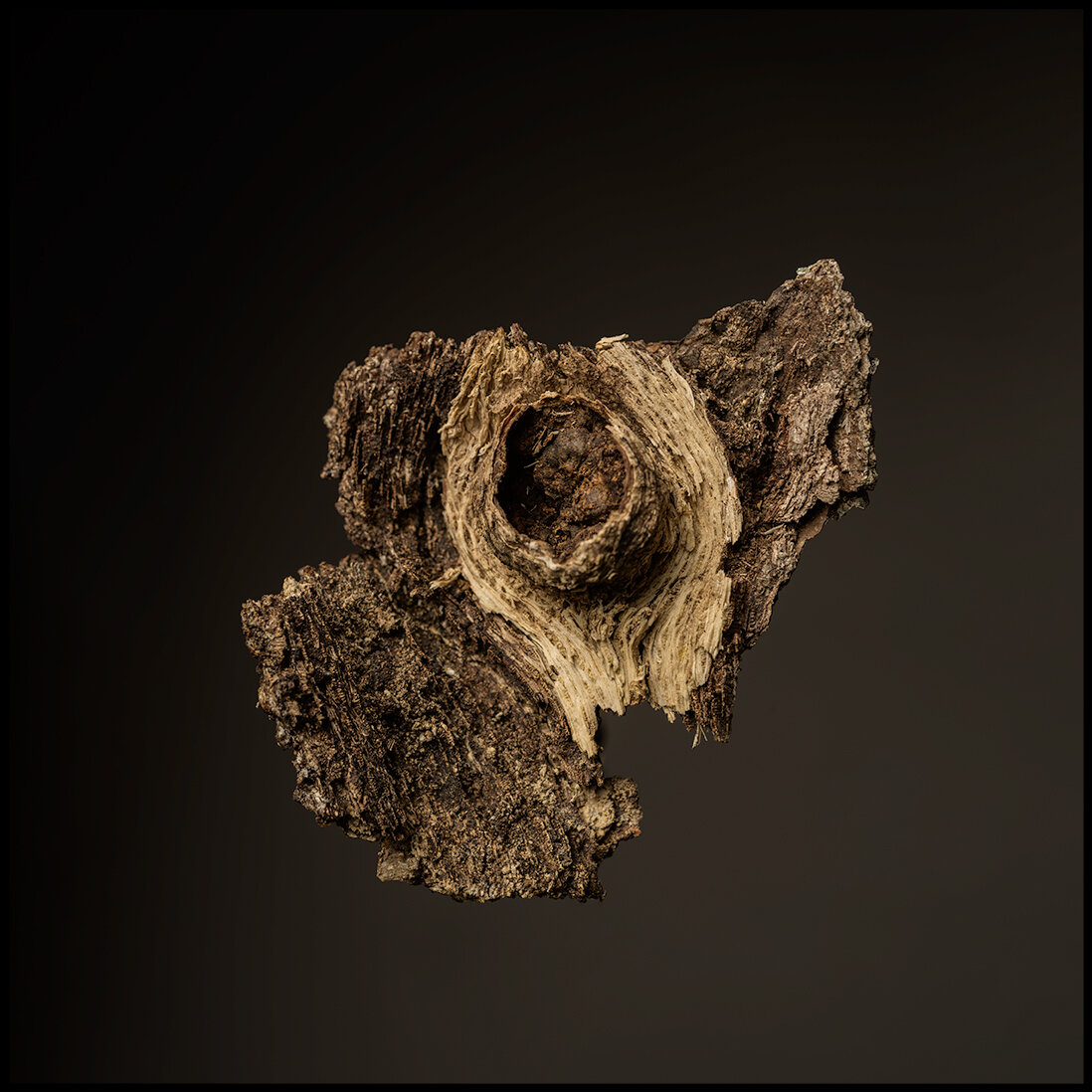 WoodKnot_1.jpg