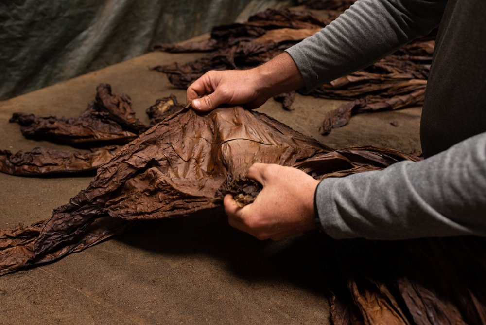 tobacco quilt Tobacco Leaf Quilt Block