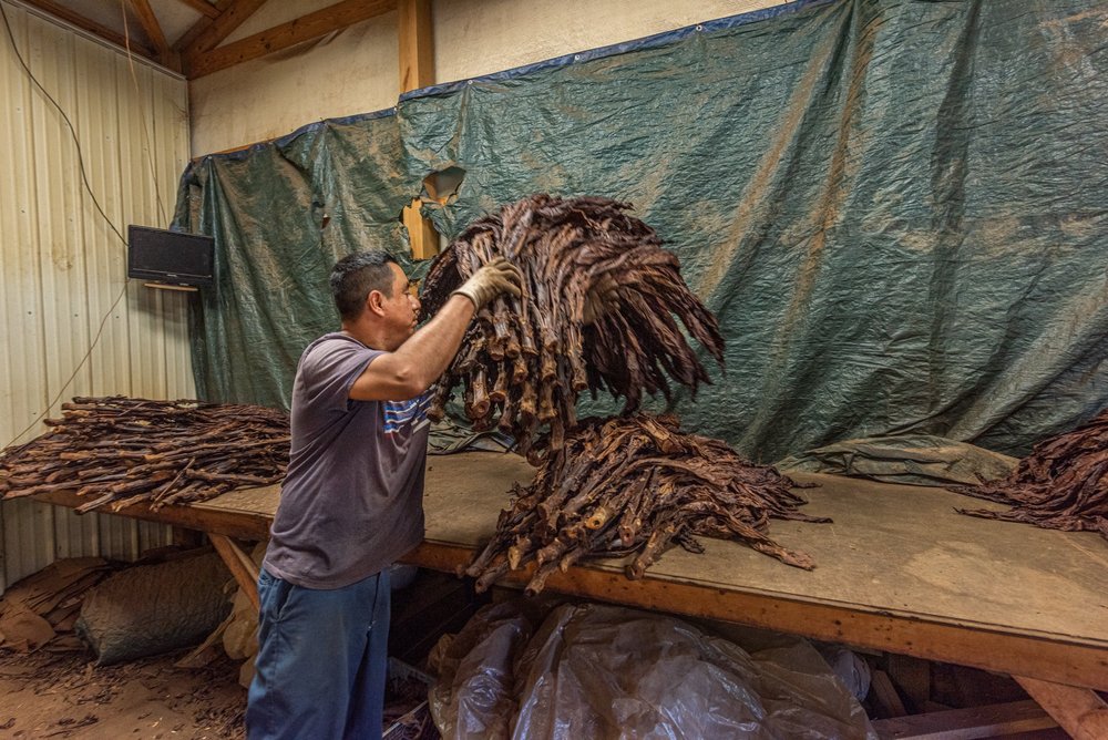 how long does it take to cure tobacco Drying Tobacco how long does it take to cure tobacco Drying Tobacco