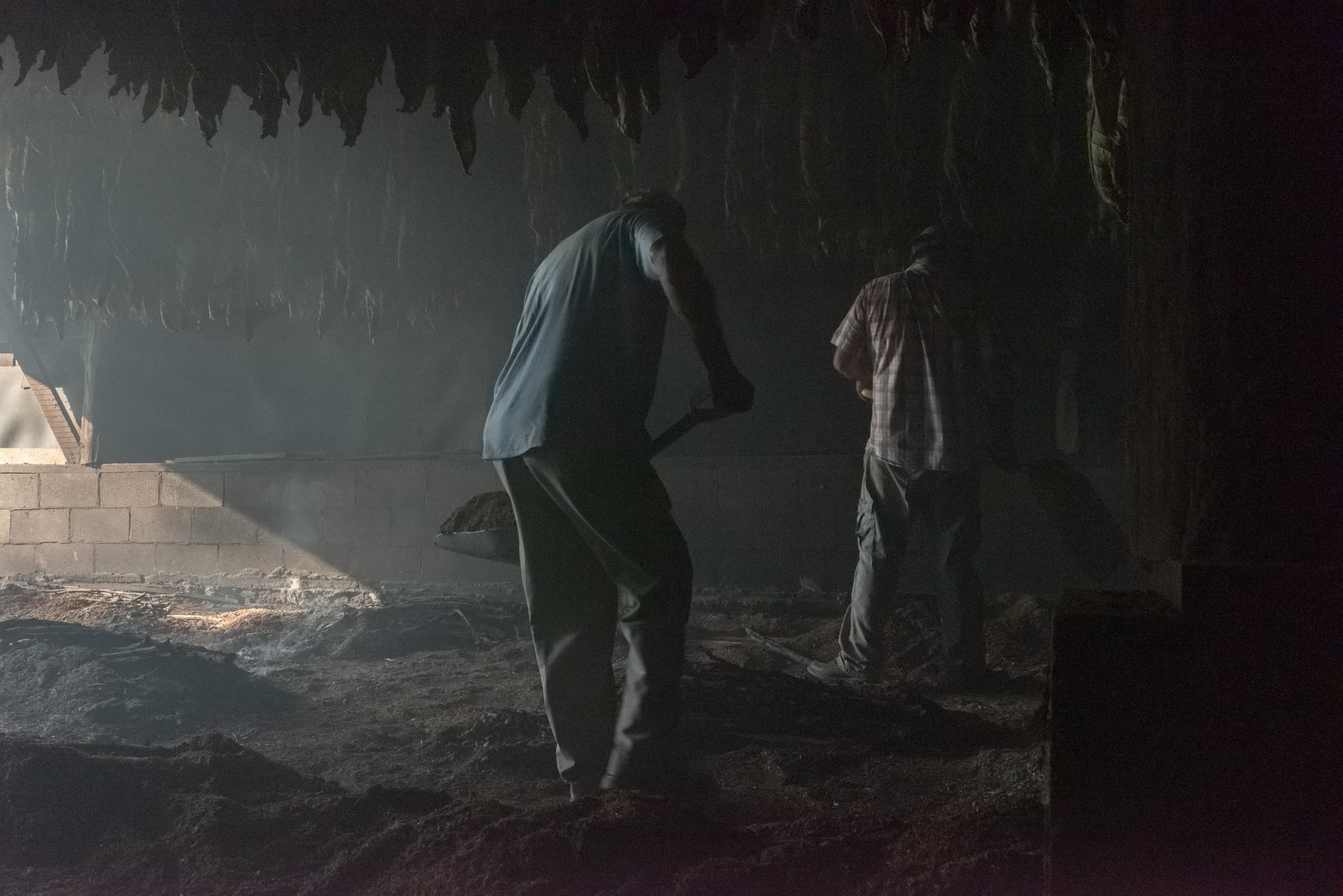 Dark Fired Tobacco Firing barn