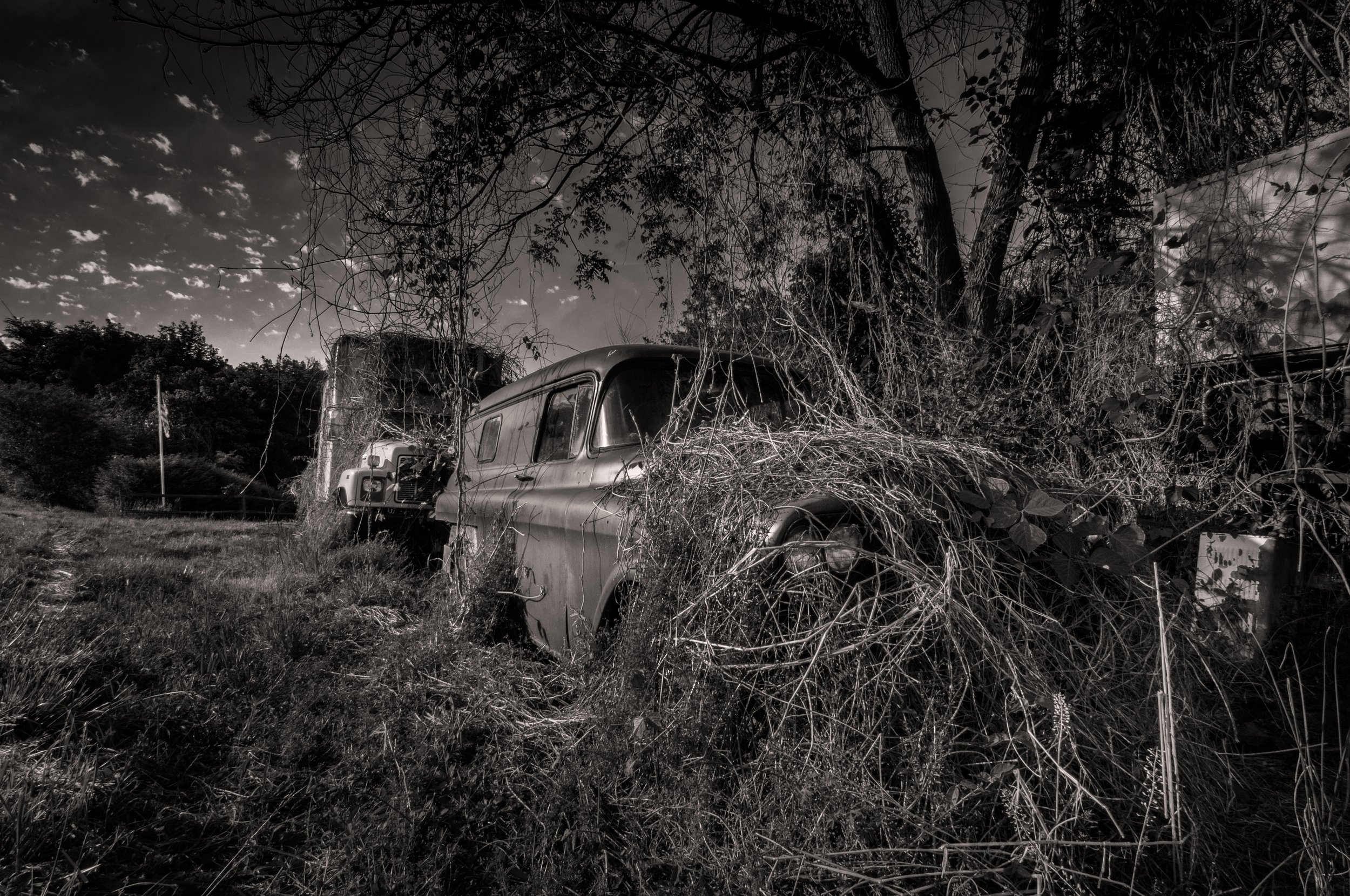 Reclamation #2