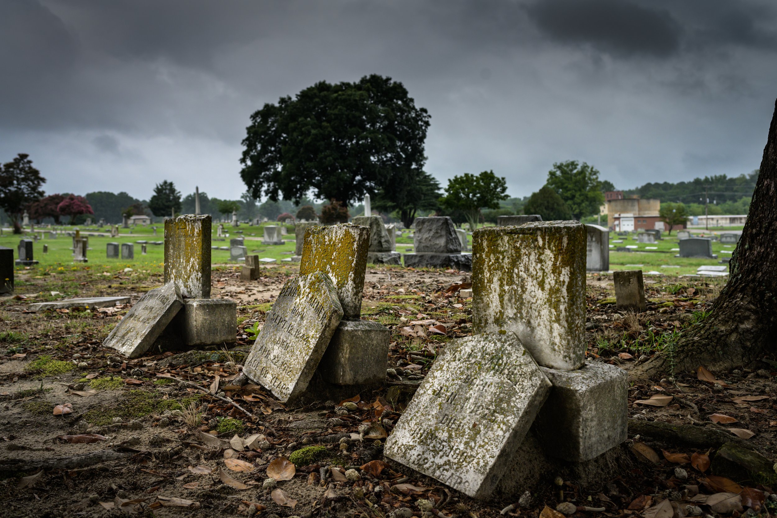  The “White” cemetery in Wilson, which is the resting place of many of Wilson’s early residents, including Confederate officers. 