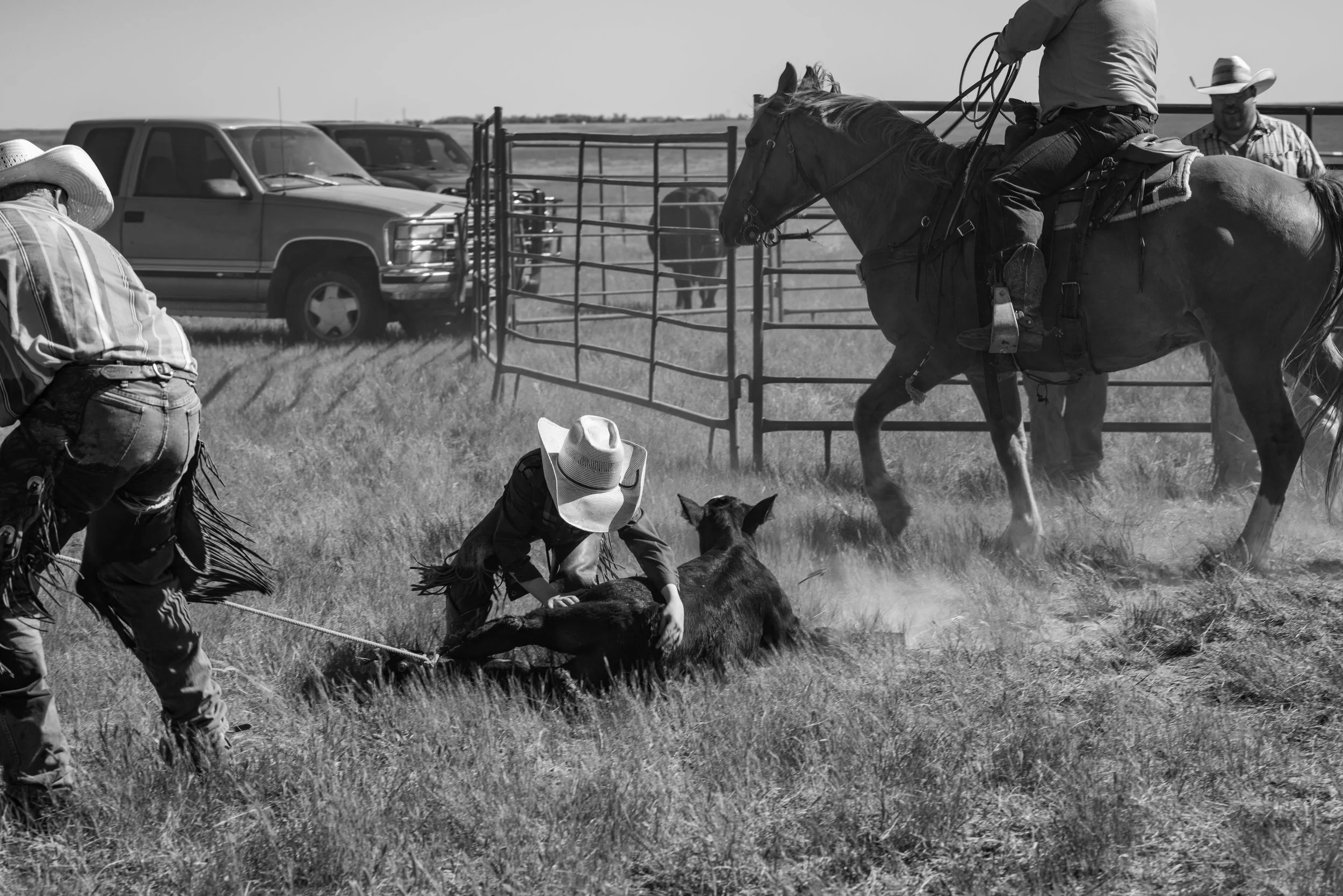 DF11220-905723-Edit.jpg