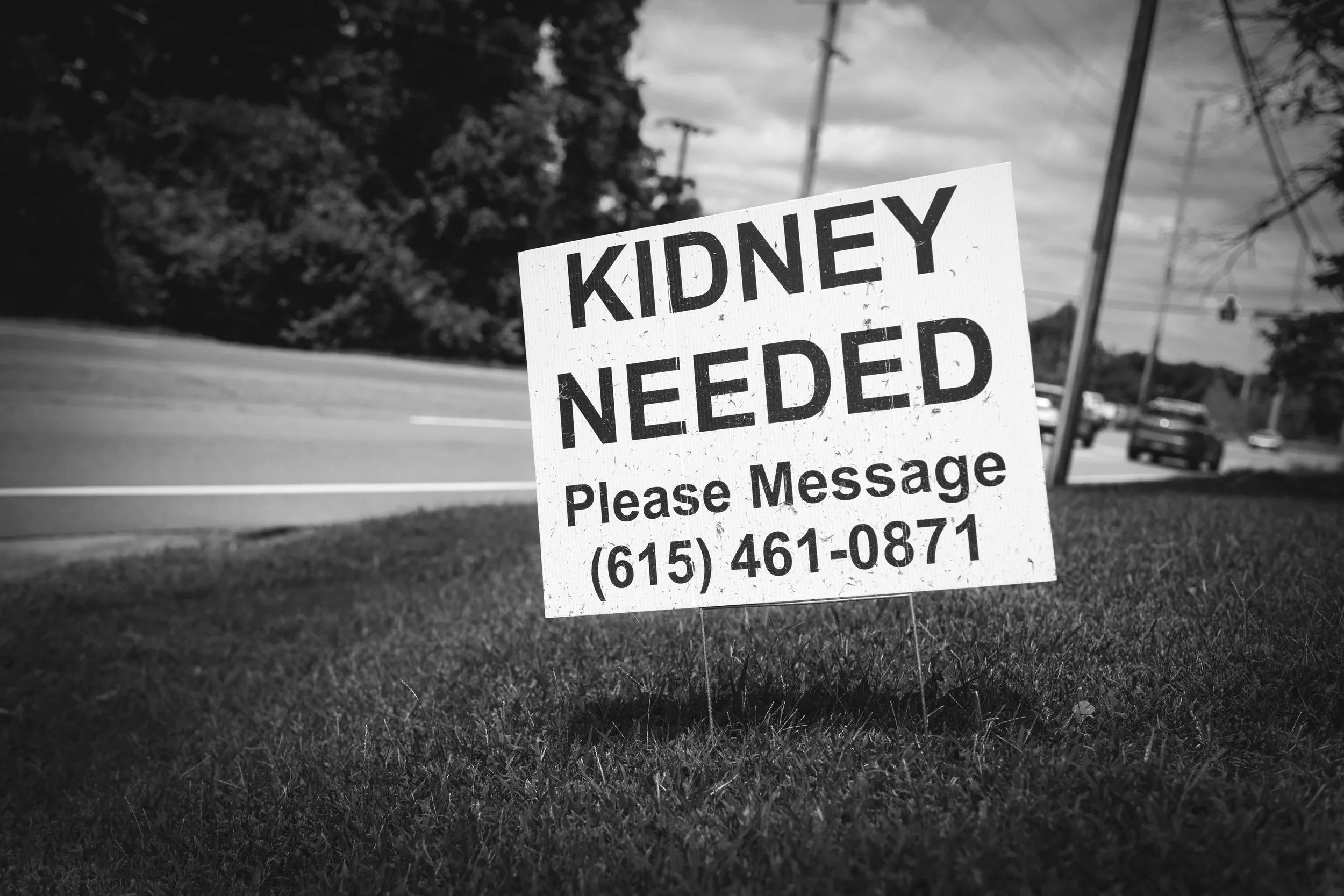 Kidney Needed