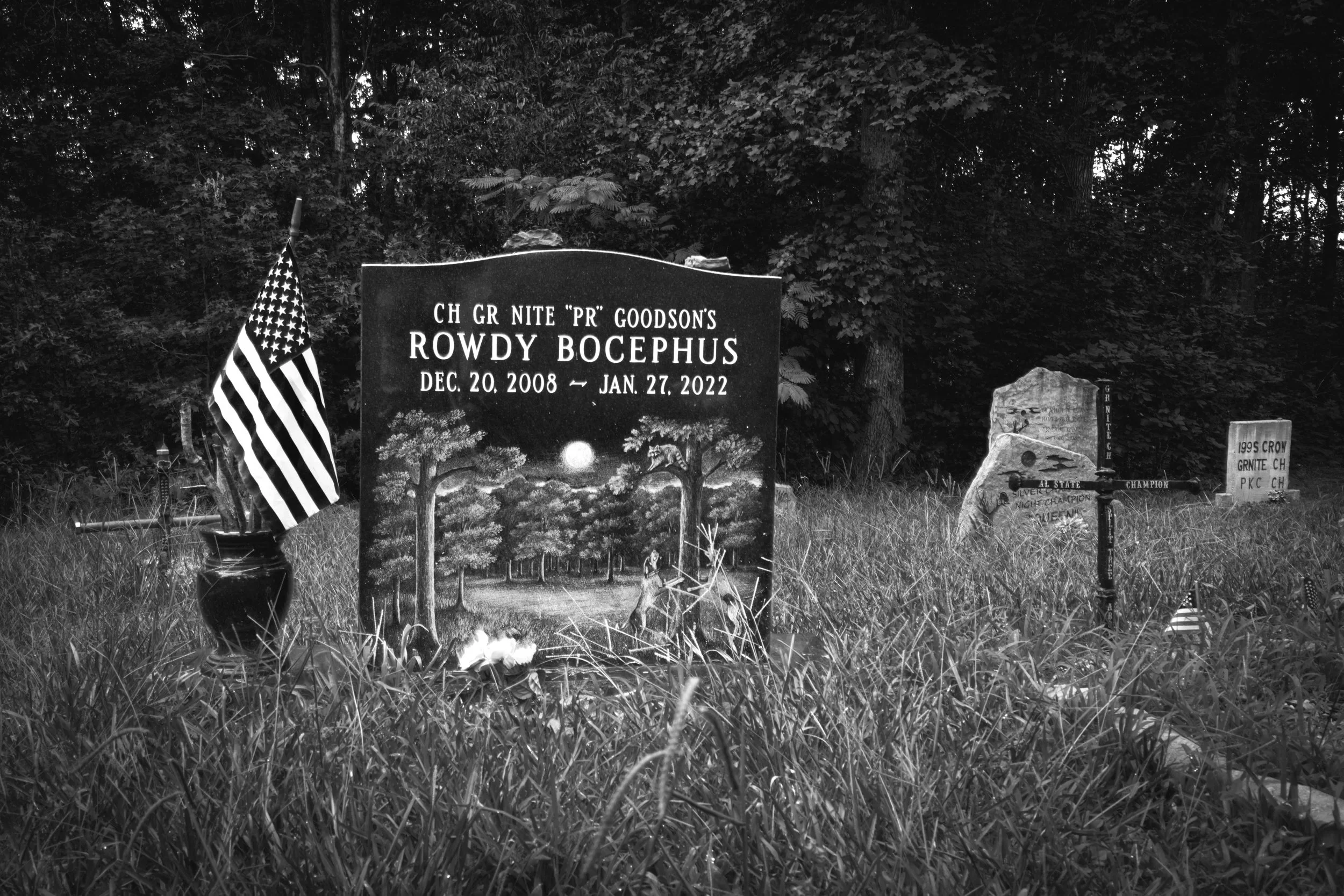 DRF11381-11222_BW.jpg