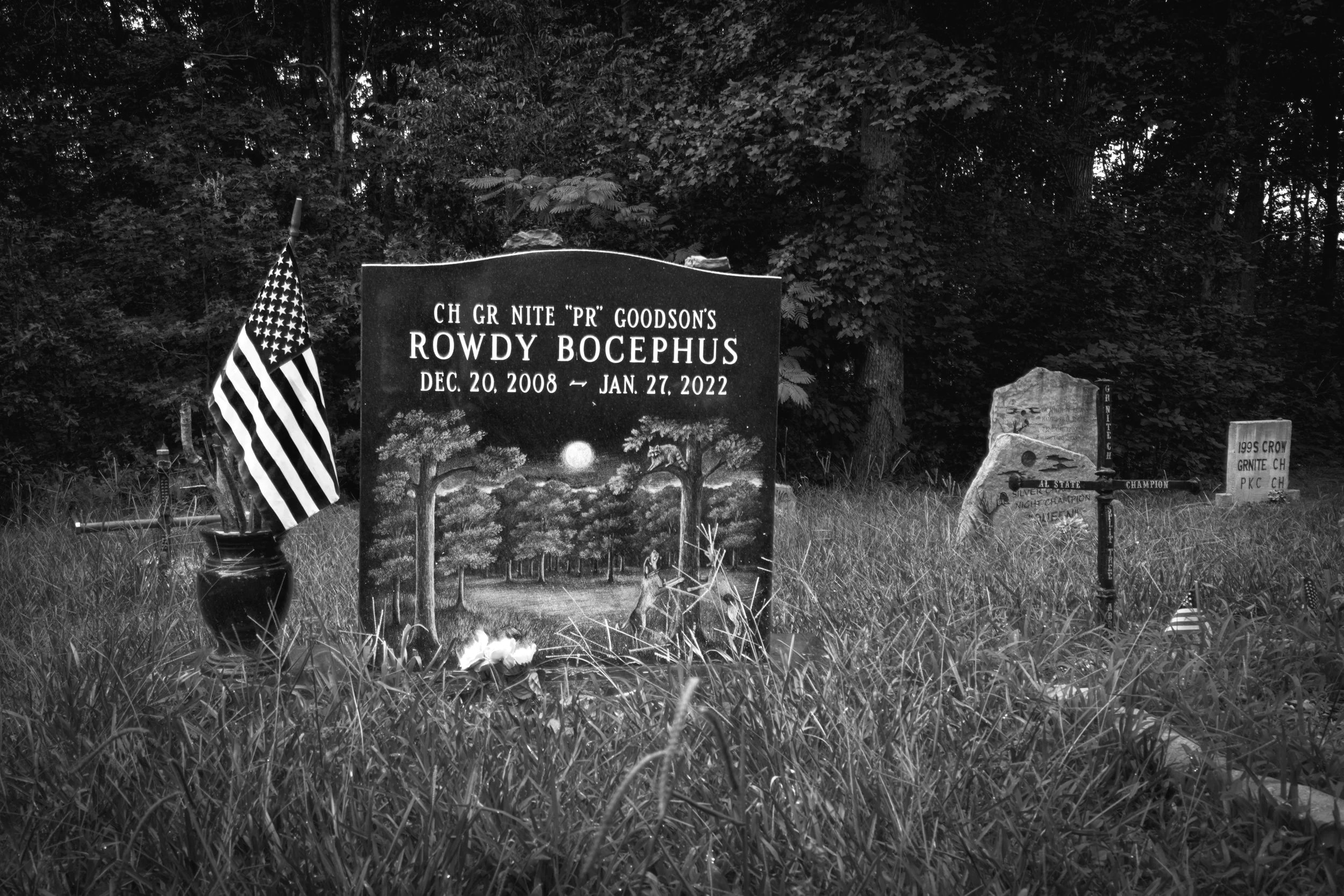 DRF11381-11222_BW.jpg