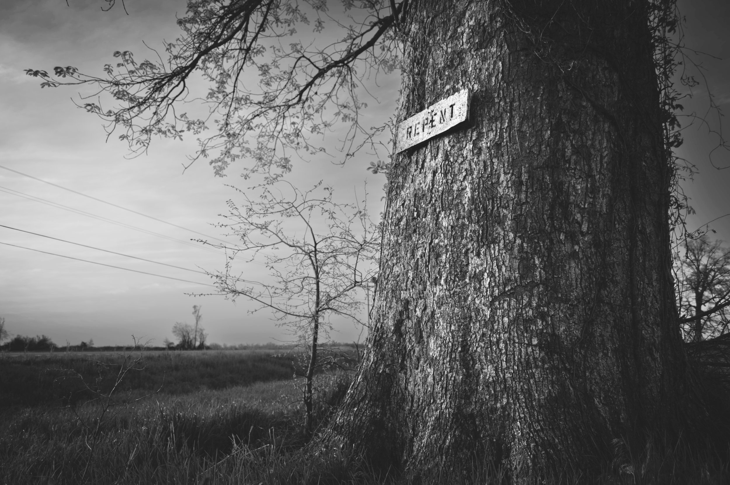 Highway 22 (Westbound)