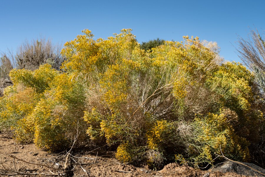 Time In The High Desert