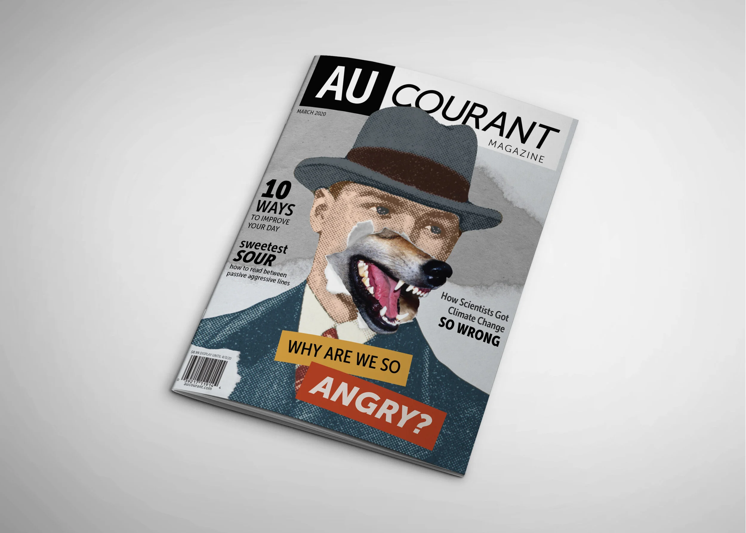 portfolio mag1.jpg