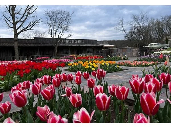 April Flower Festival - Baker Creek Heirloom Seed