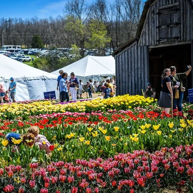 May Spring Planting Festival - Baker Creek Heirloom Seed