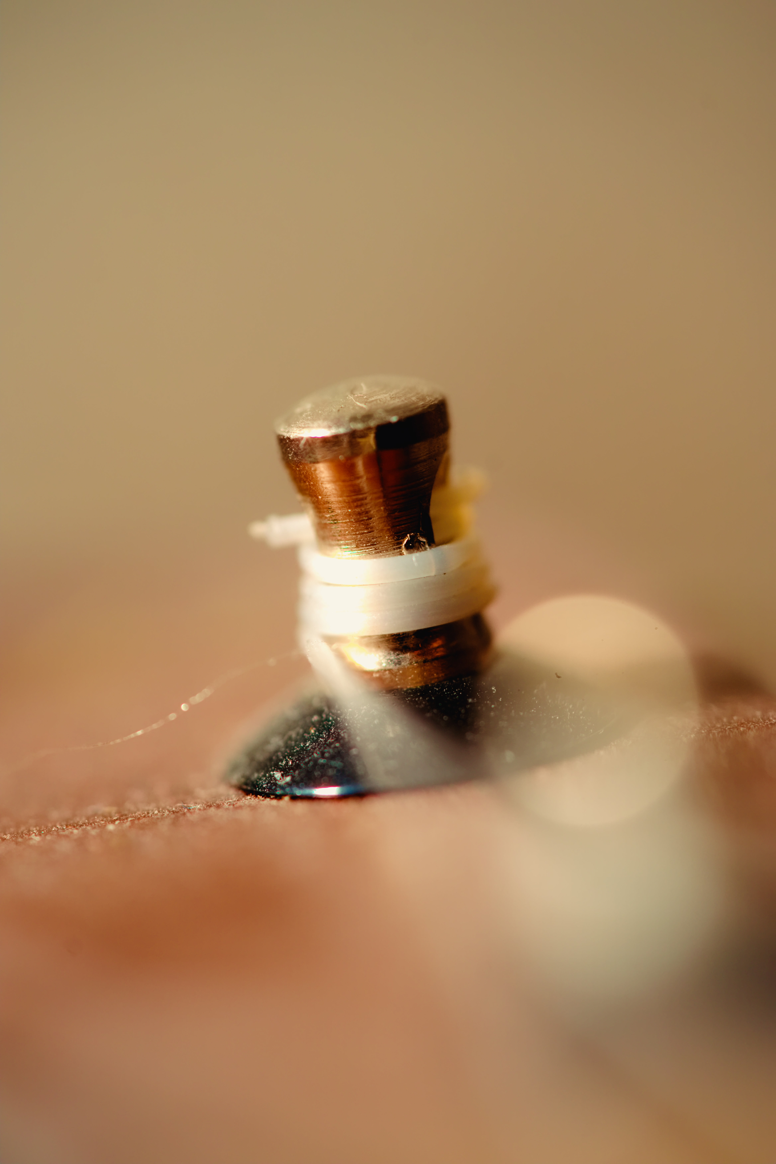 Close-up of a metallic screw head partially embedded in a wooden surface.