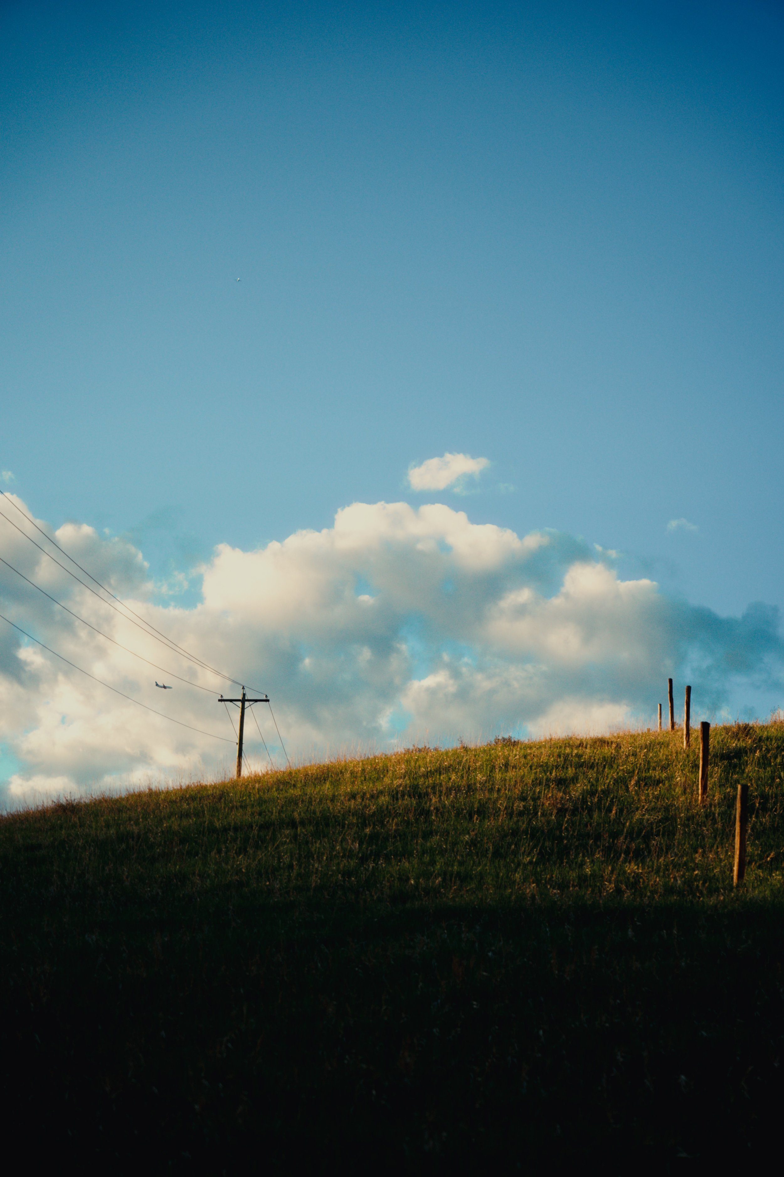 A hillside landscape with utility poles, a line of trees, and a clear blue sky with a few clouds and a small airplane flying in the distance.