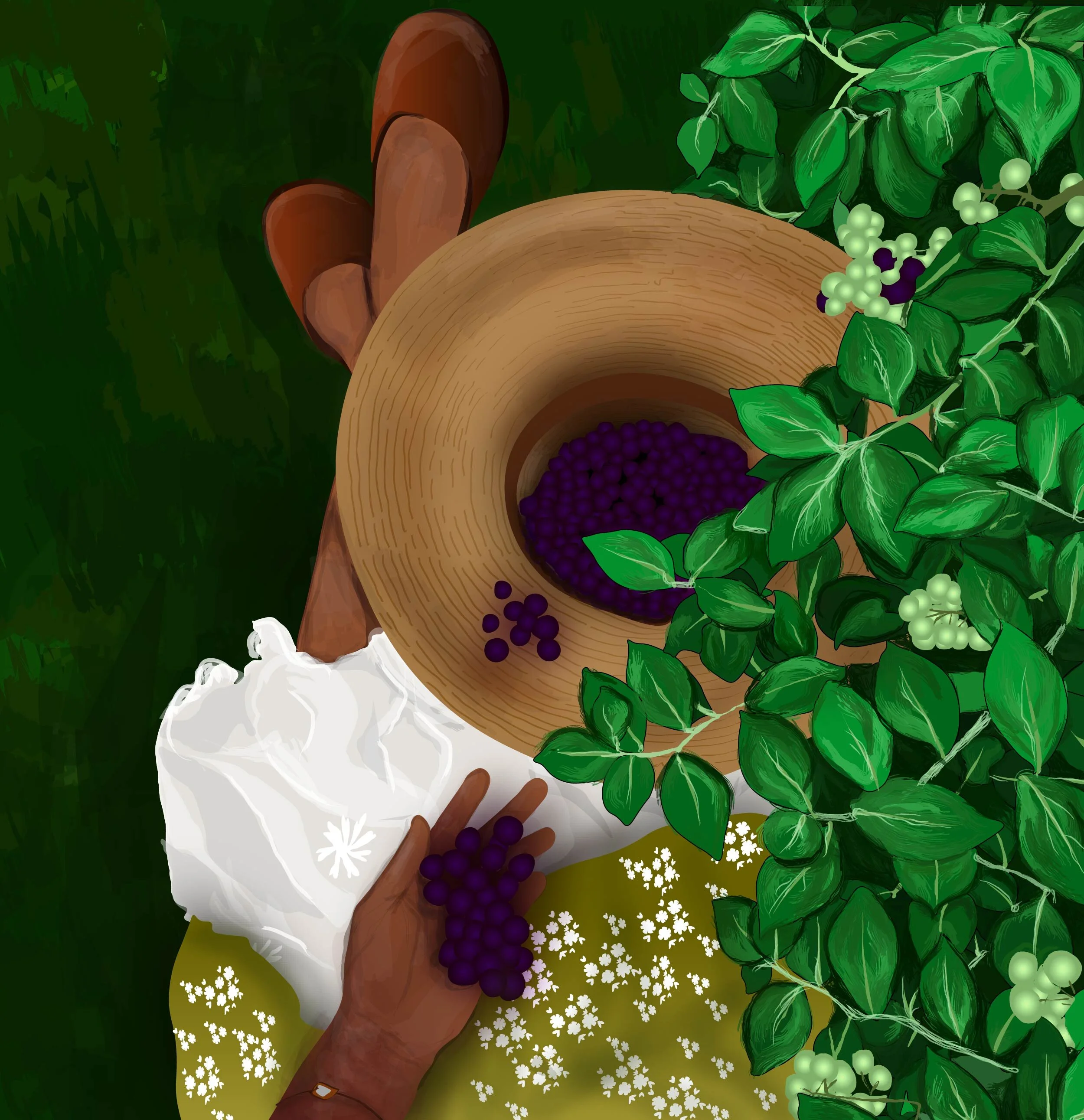 fruit picking-01.jpg