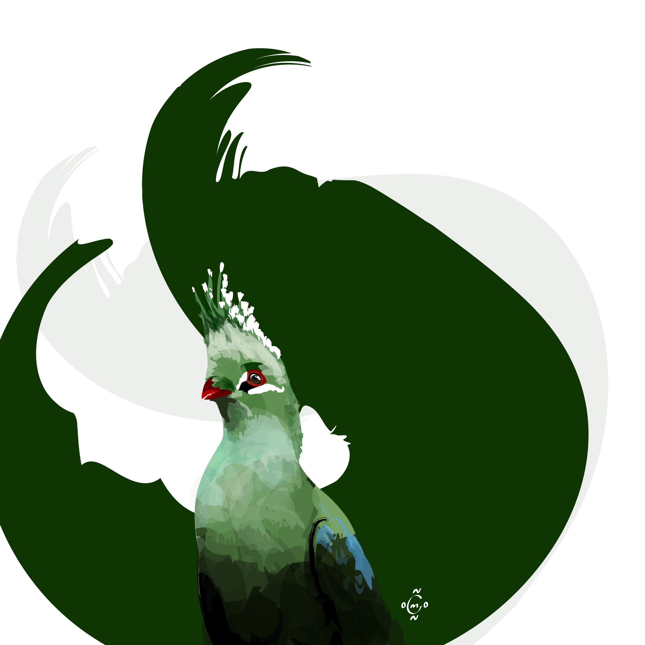 Bird 7-06.jpg