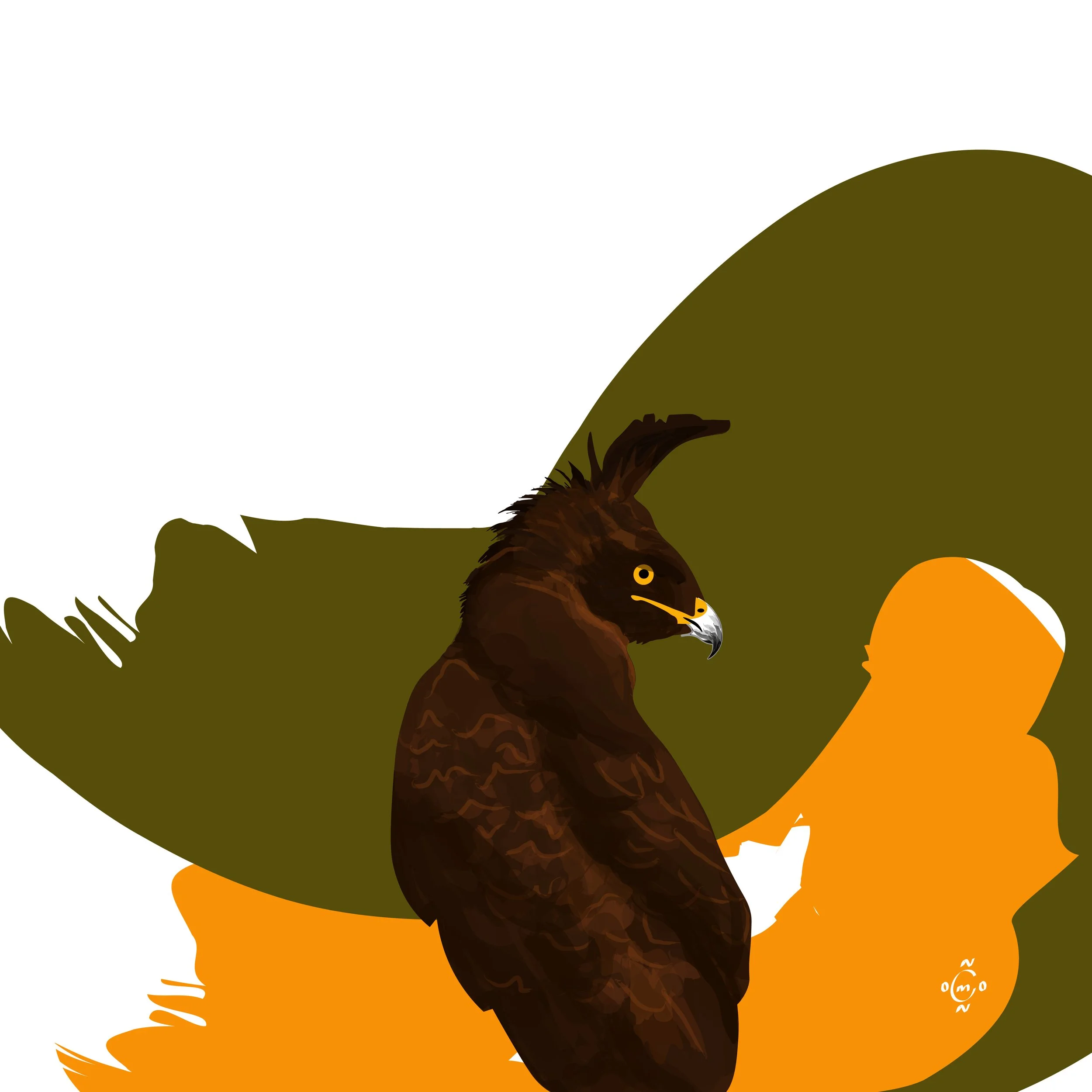 Bird Series4-04.jpg