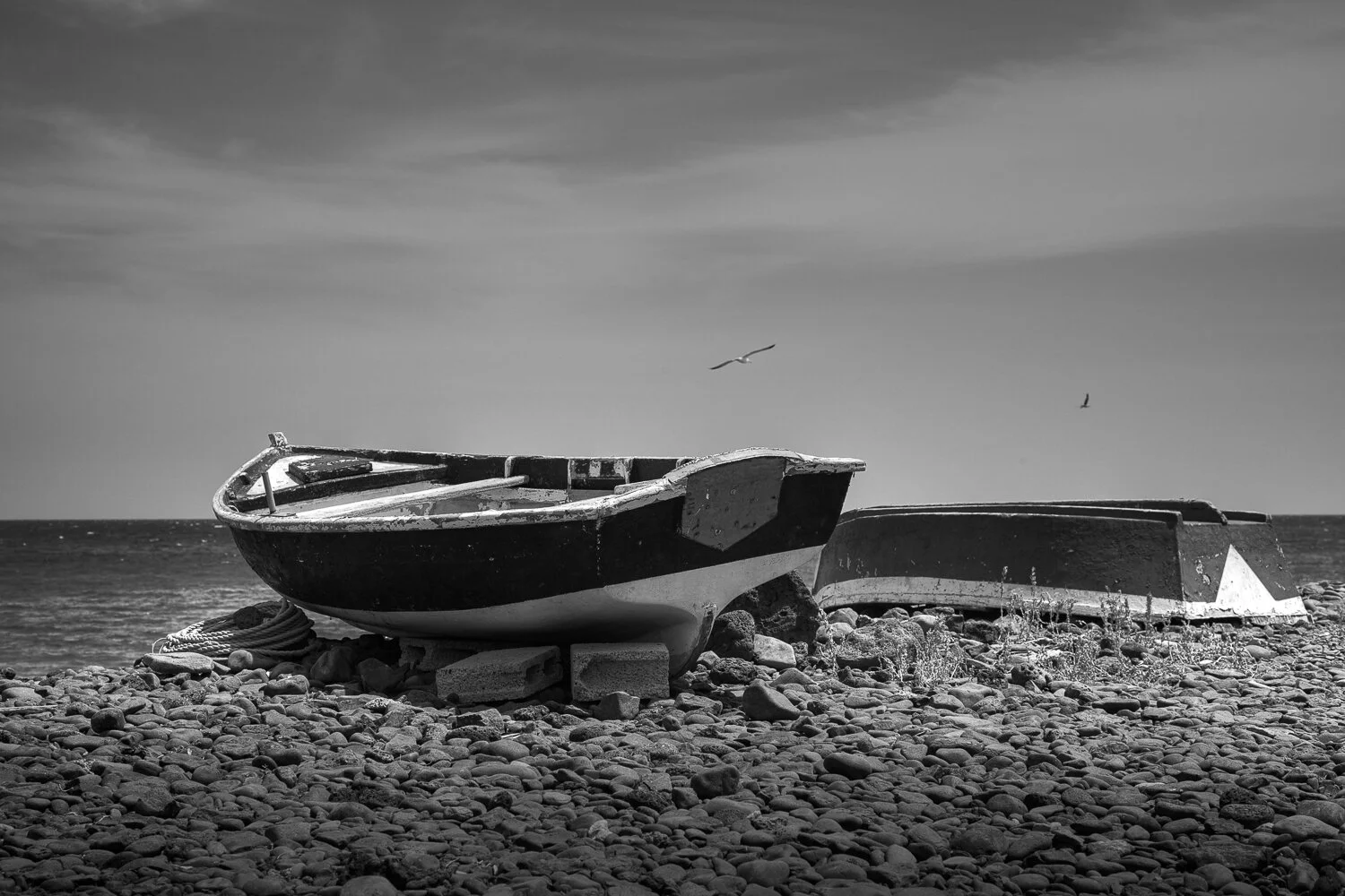 Fisherman Boats.jpg