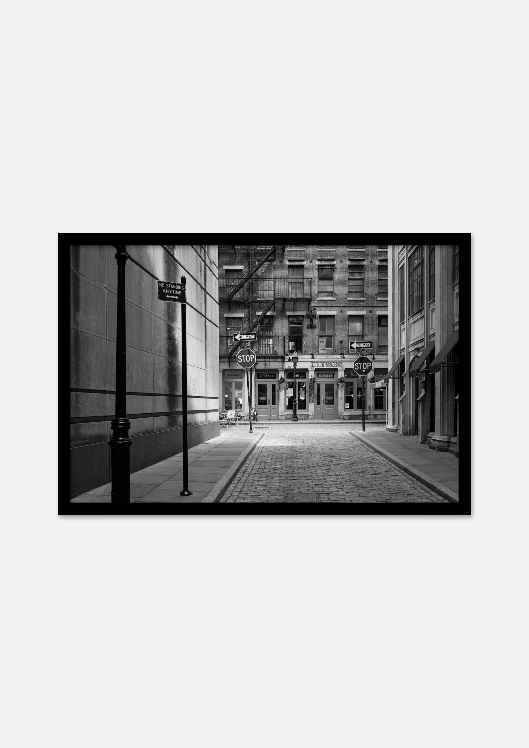 Double Stop framed.1.jpeg