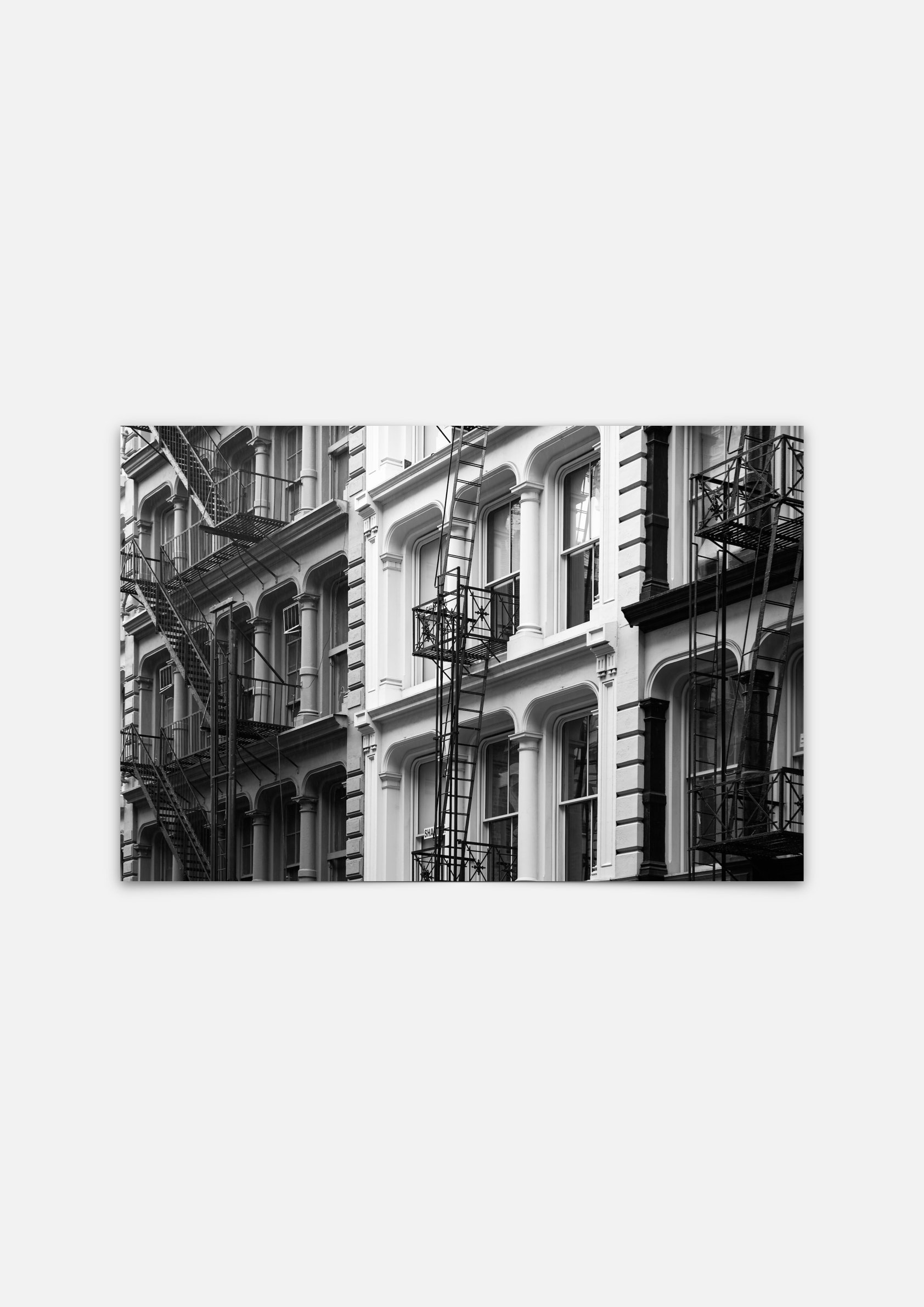 Soho 1.1.jpeg