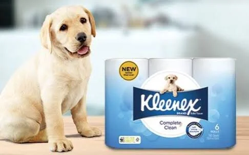 Corona Virus Conspiracy: Whistleblower points finger at Kleenex Puppy