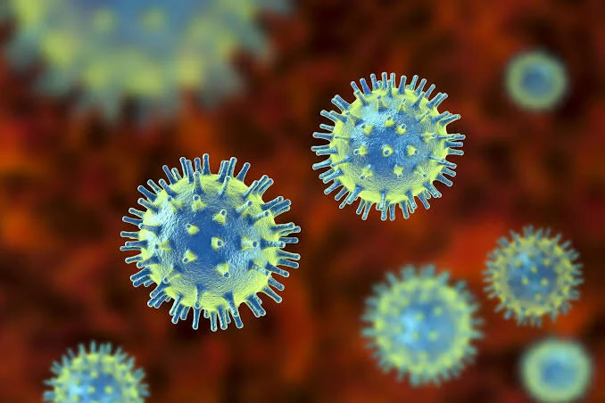 Influenza viruses grapple with lack of attention