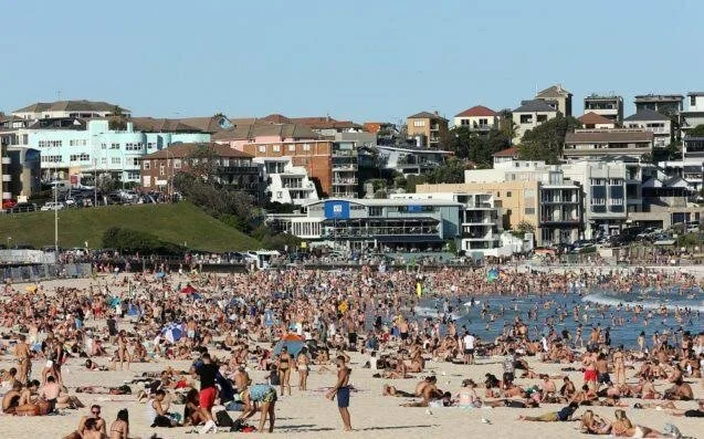 Bondi residents prove money doesn’t buy intelligence