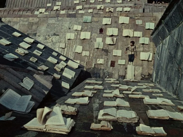 The Color of Pomegranates.jfif