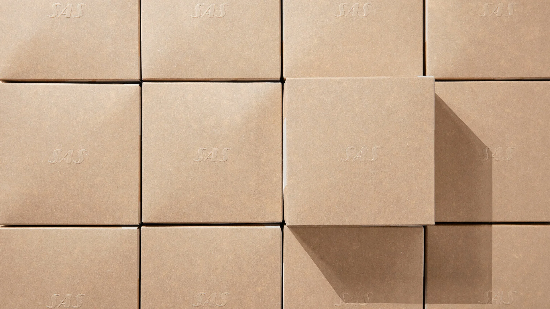 sas_packaging_04.jpg