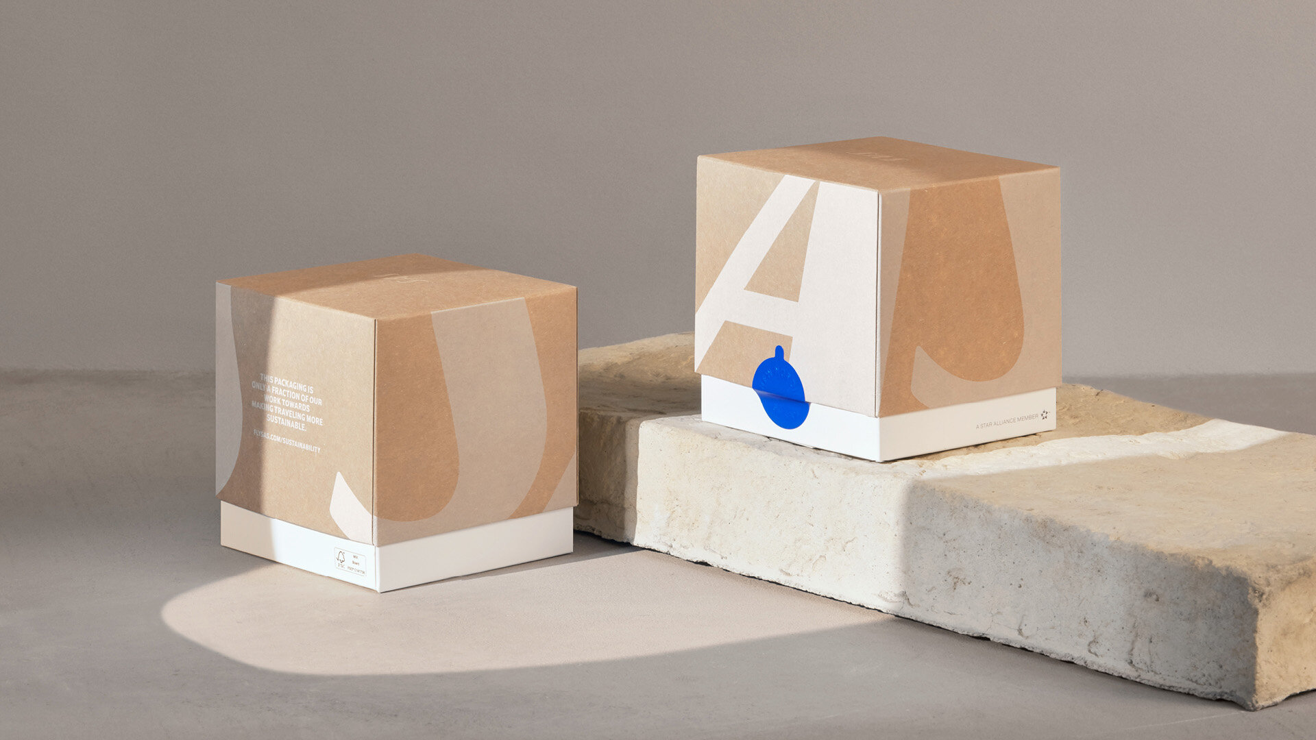 sas_packaging_01.jpg