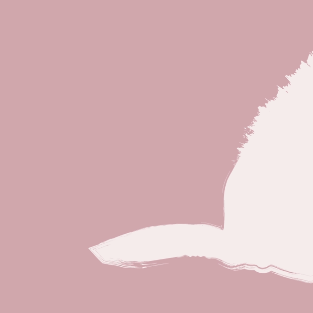 Djurvård_Dog_tail_2.gif