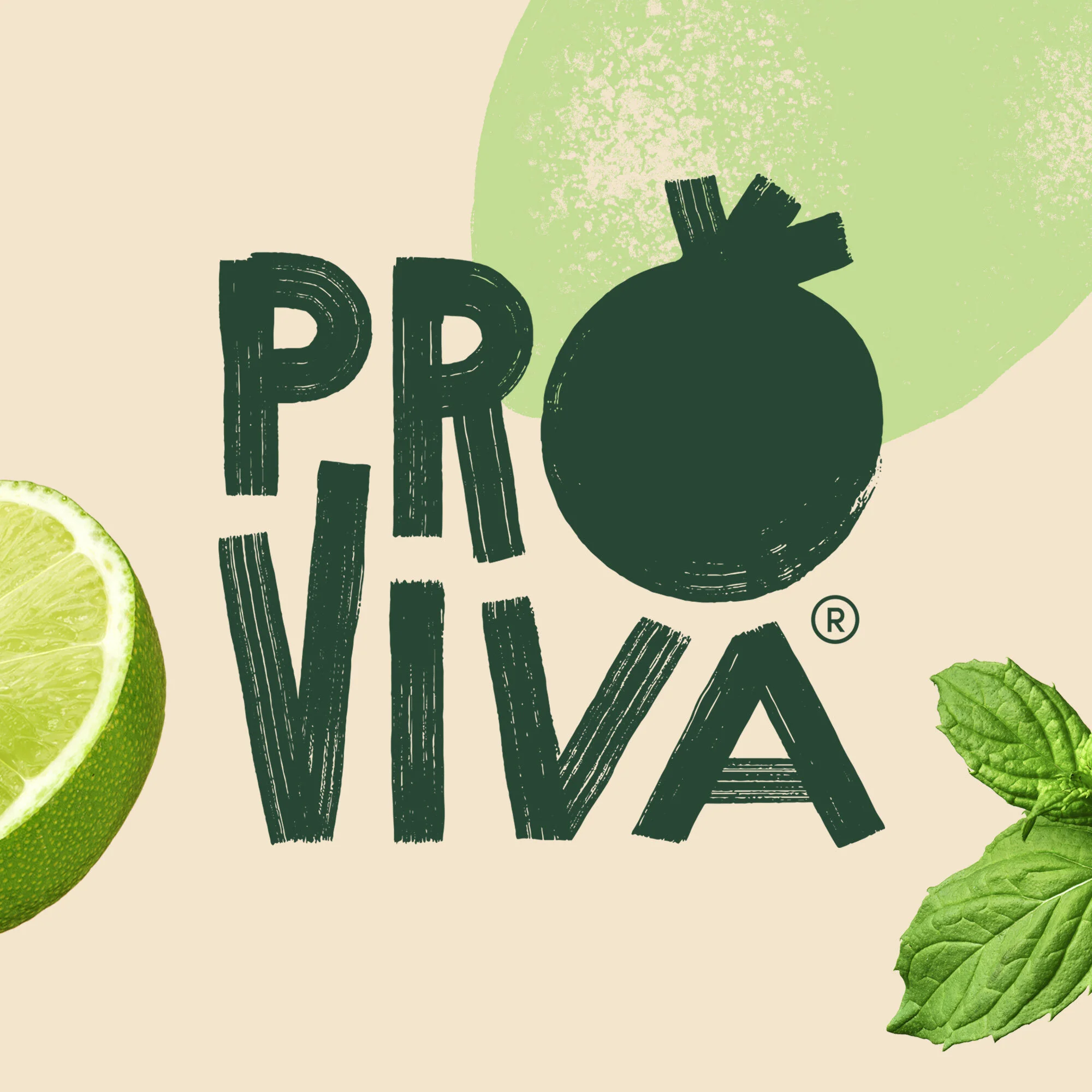 bvd_proviva_logo_frontpage.jpg