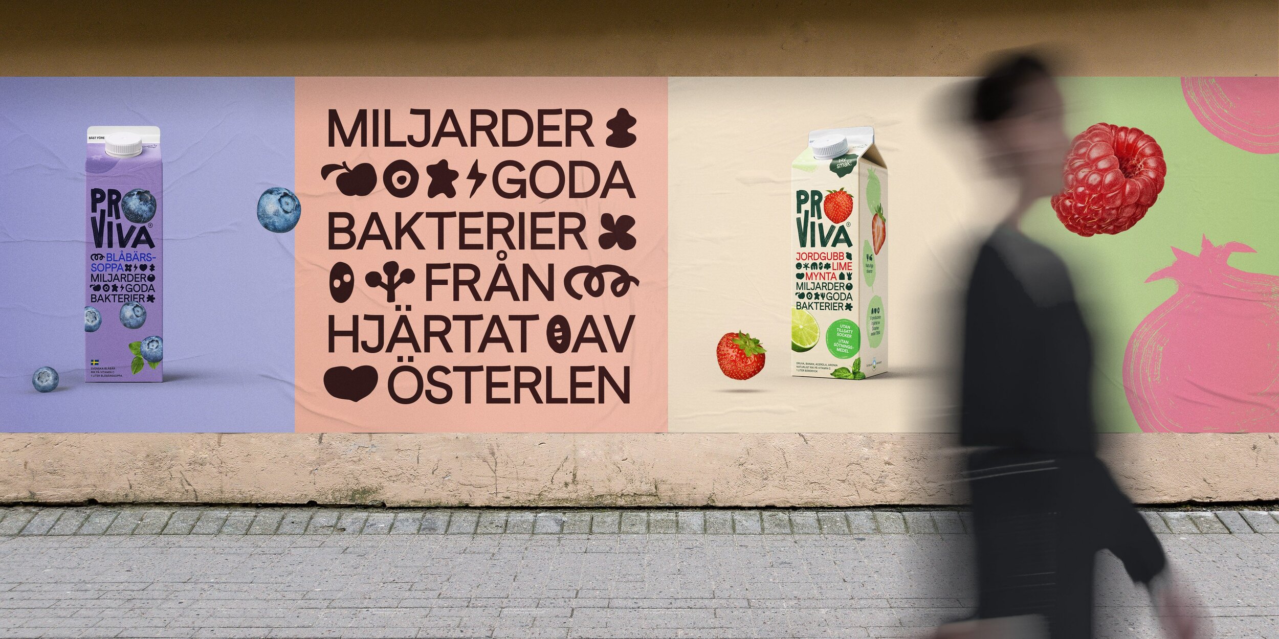 bvd_proviva_19-4000x2000.jpg