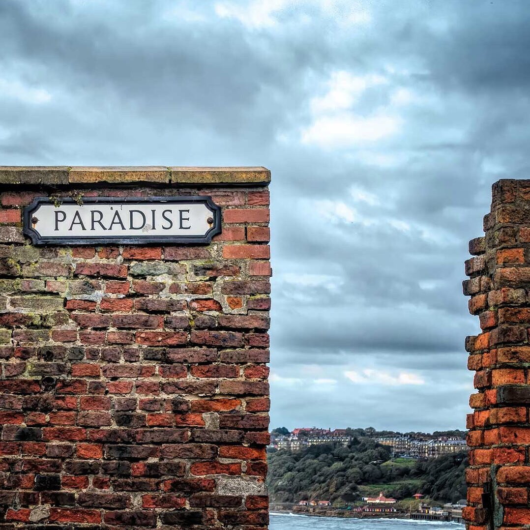 Paradise Found, Scarborough, North Yorkshire