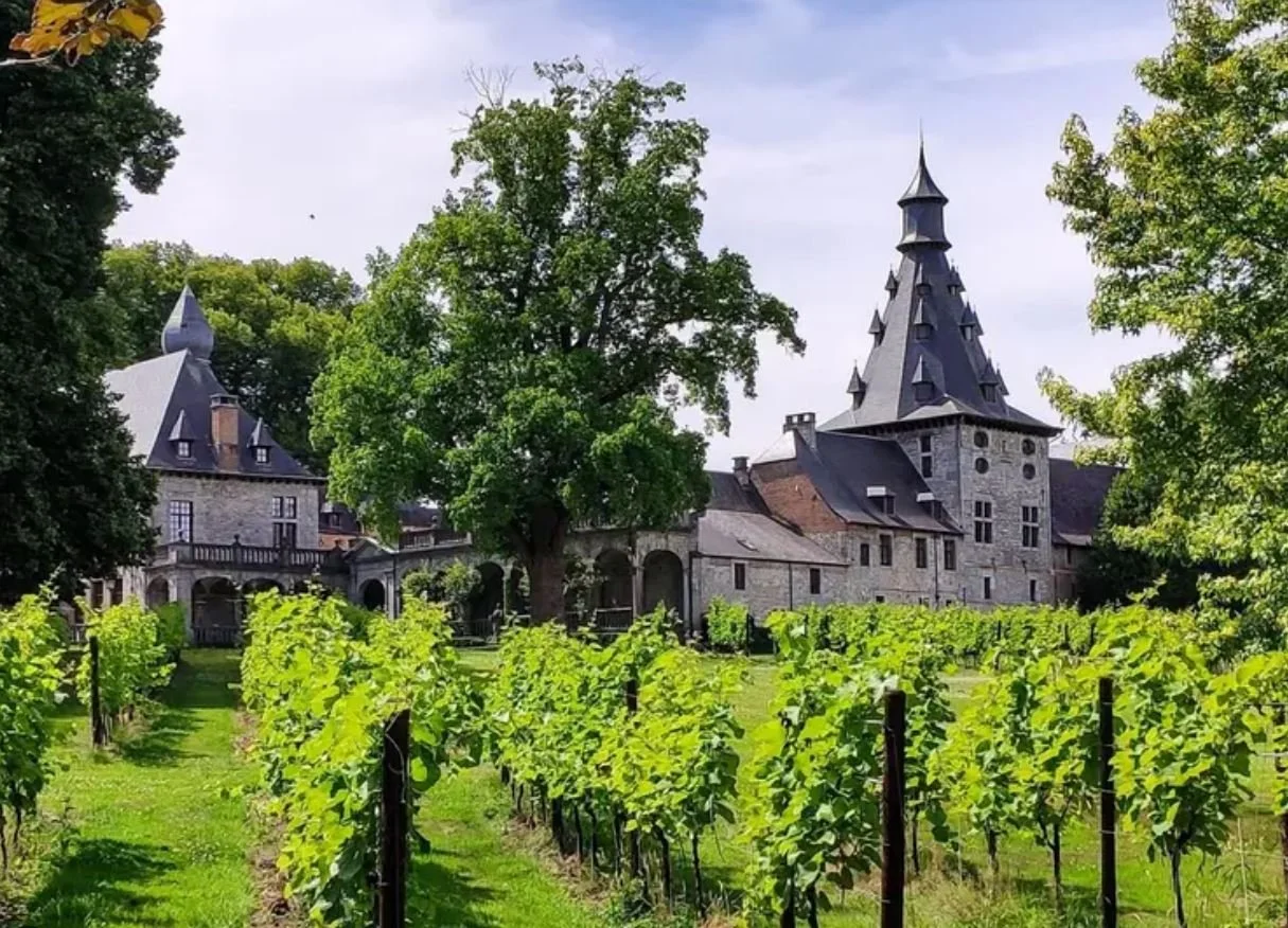 vines and castle.JPG