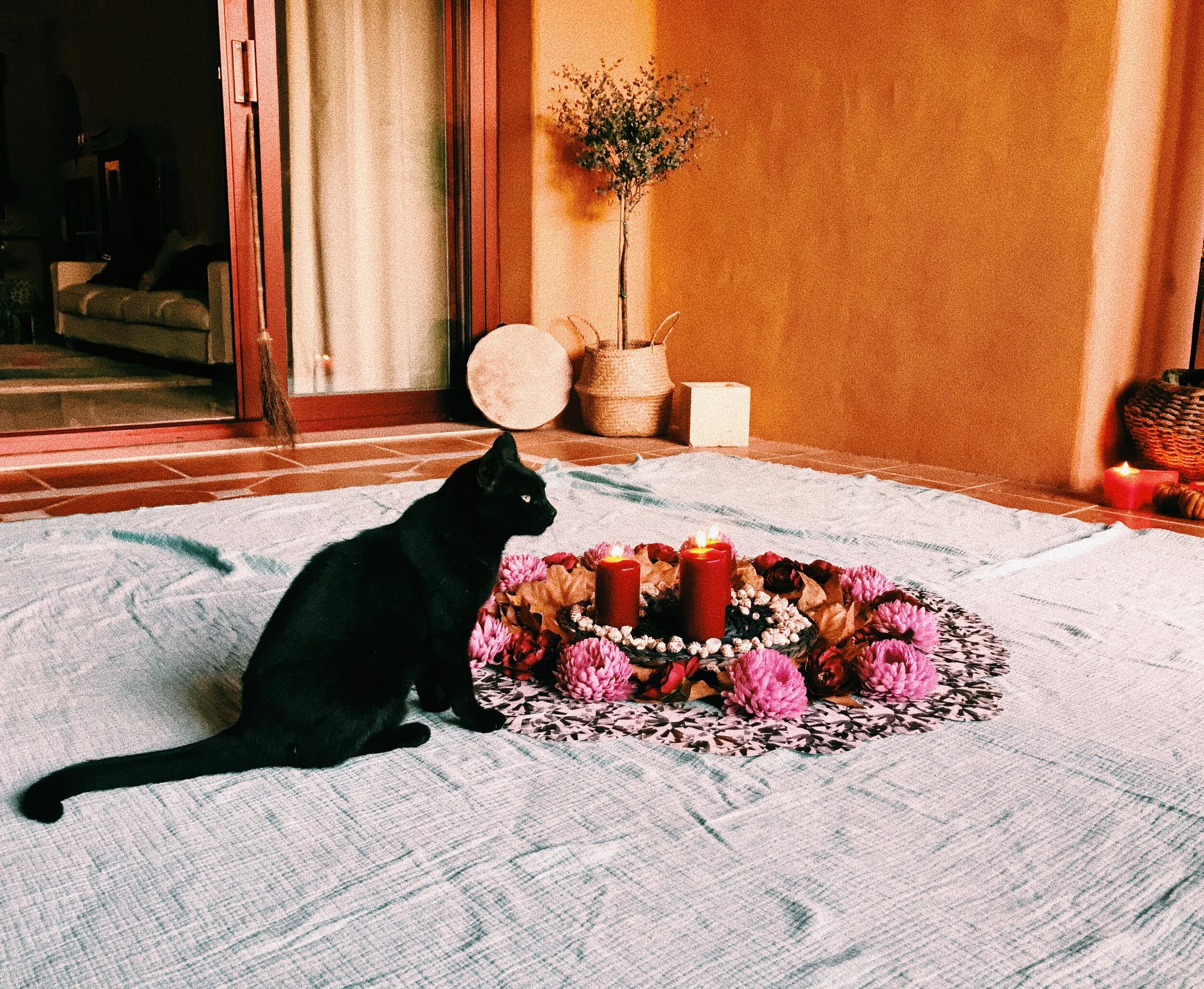 New Moon in Scorpio, The power of transformation, Mallorca