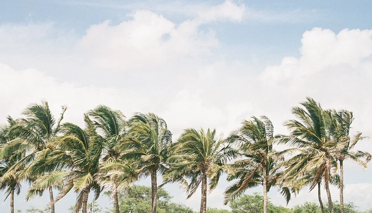 Apparently when it&rsquo;s cold and theres a storm coming, I just look at pictures of warmer weather. Does it help? Maybe if I crank the heat and put on some Island music.. but luckily, now you can too. You&rsquo;re welcome 🌴☀️