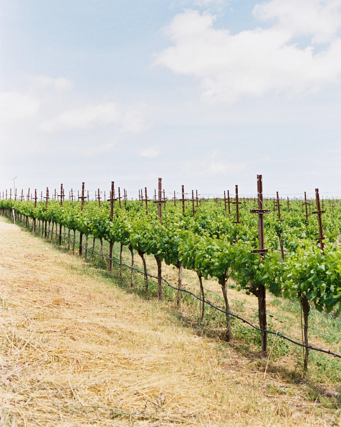 Are you coastal or vineyard? Maybe both? Deciding on a location can be stressful especially if you feel like you&rsquo;ve done them all! Luckily, we are no where near a shortage of beautiful locations around here.  I have two suggestions when thinkin