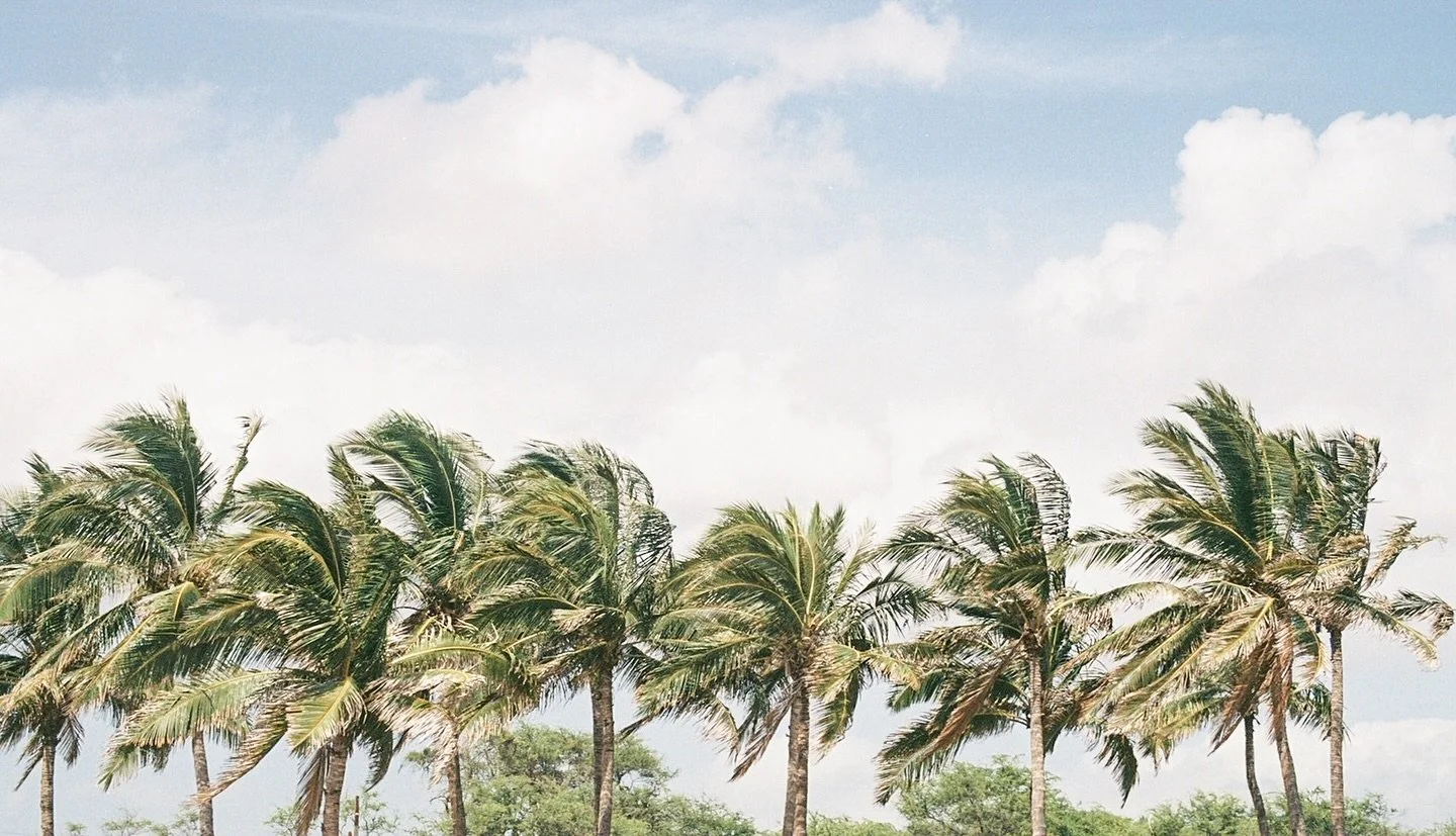 Apparently when it&rsquo;s cold and theres a storm coming, I just look at pictures of warmer weather. Does it help? Maybe if I crank the heat and put on some Island music.. but luckily, now you can too. You&rsquo;re welcome 🌴☀️
