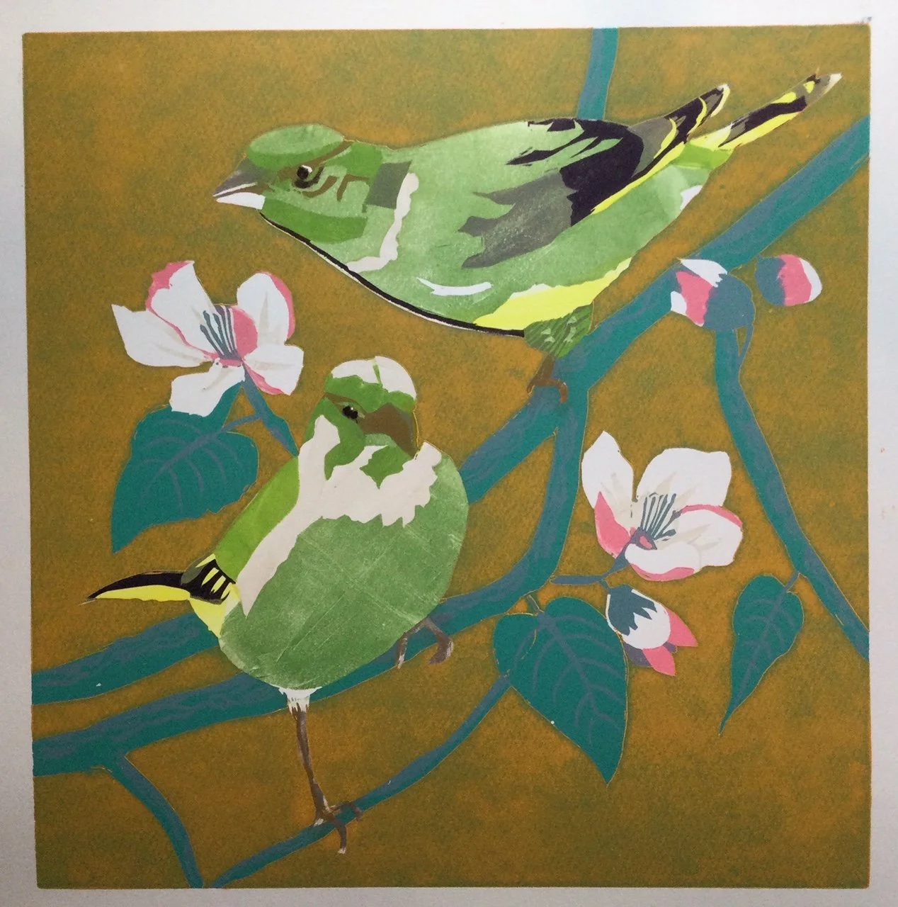 Greenfinch