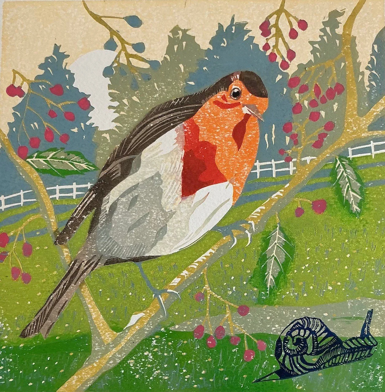 Robin