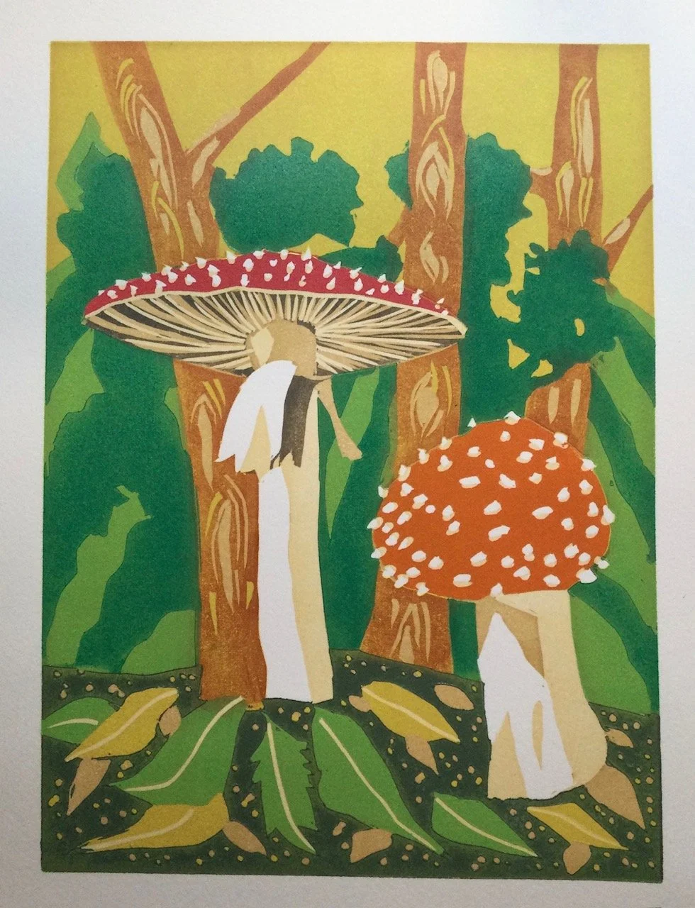 Fungi