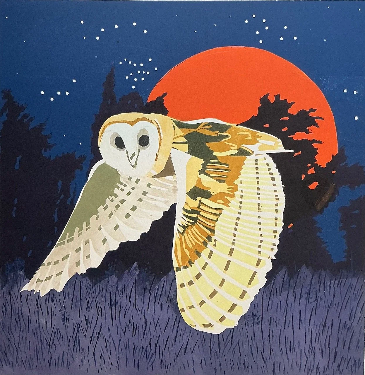 Barn Owl