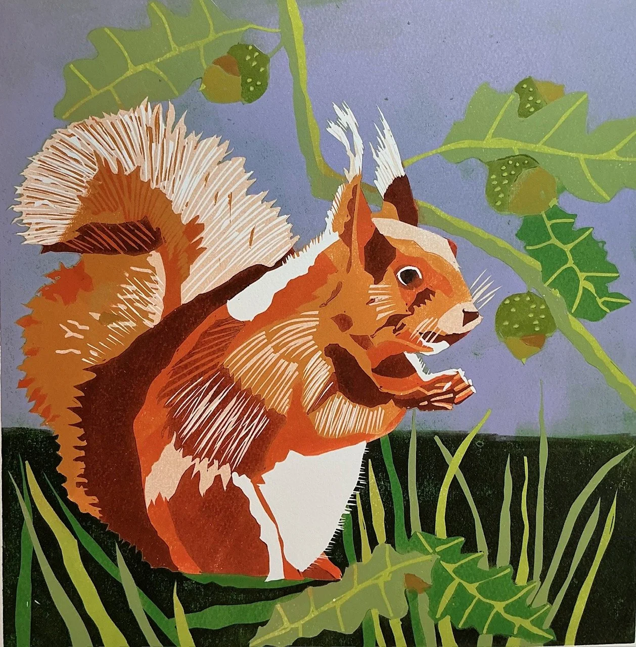 Squirrel