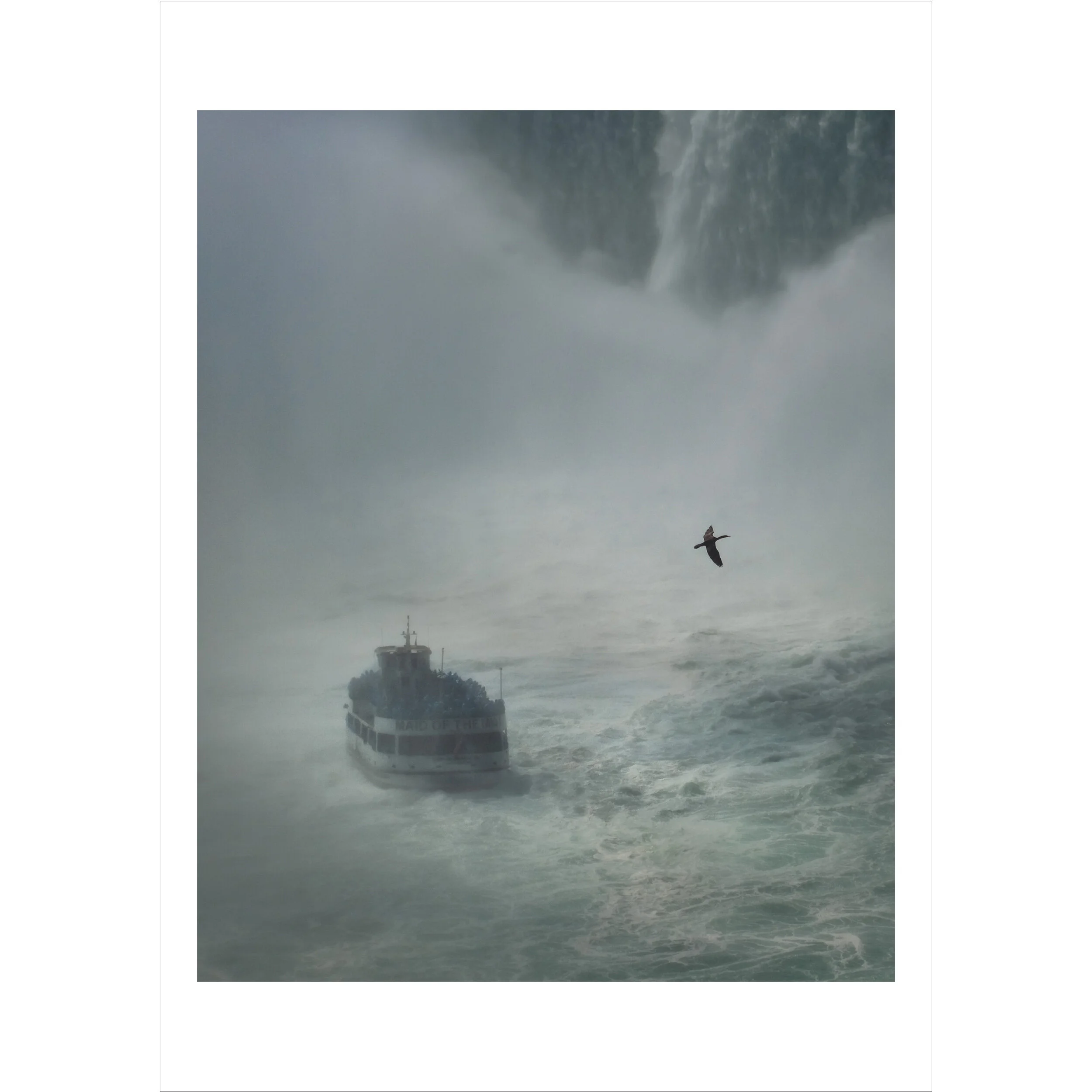 Flying And Floating.jpg