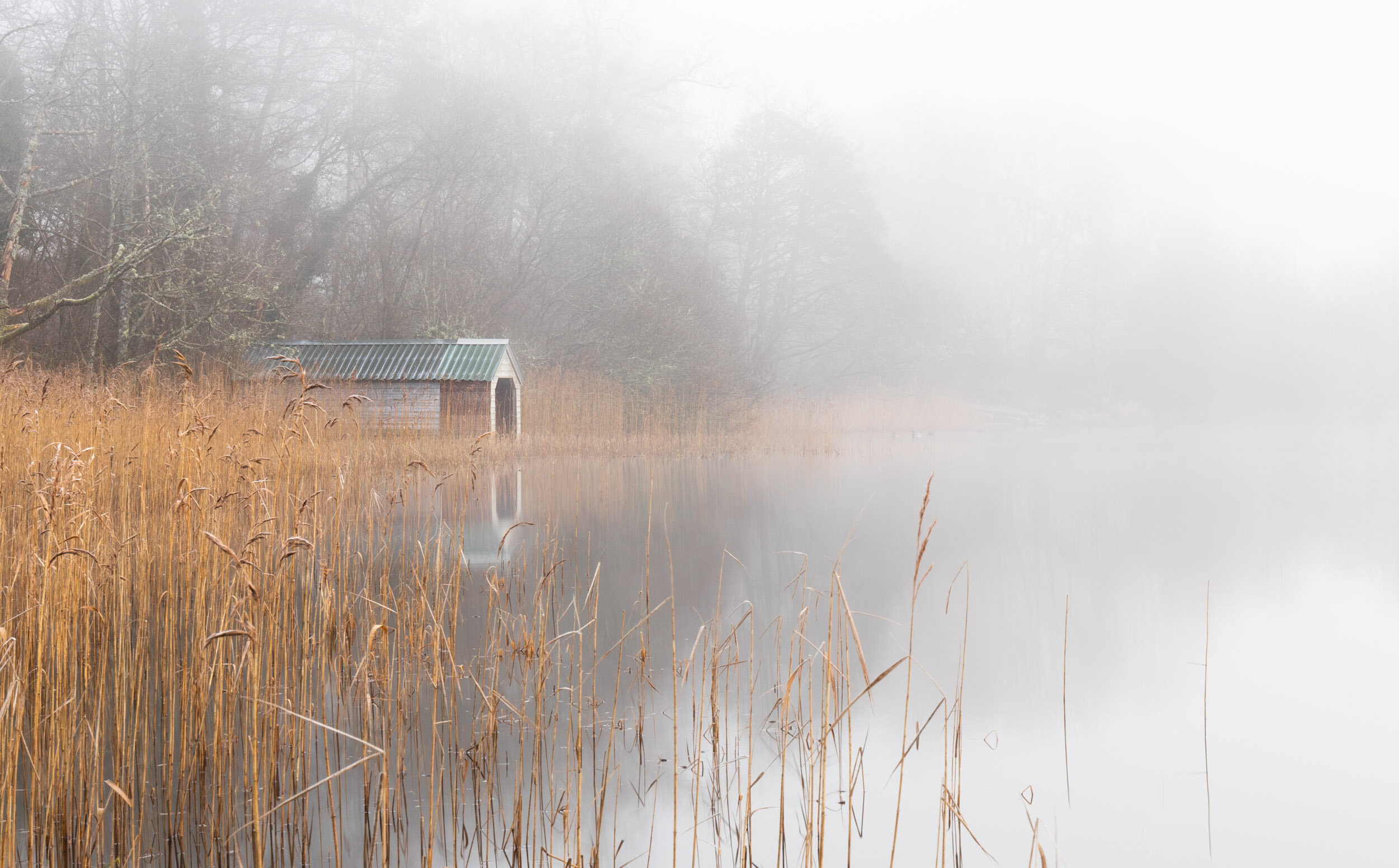Misty Boathouse.jpg