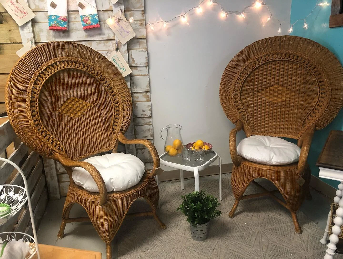 Peacock wicker chairs